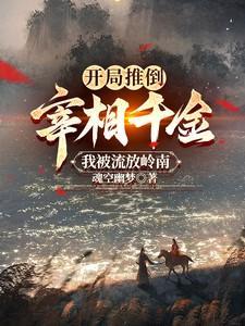 开局推倒宰相千金我被流放岭南