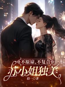 不原谅不复合苏小姐独美作者拾一